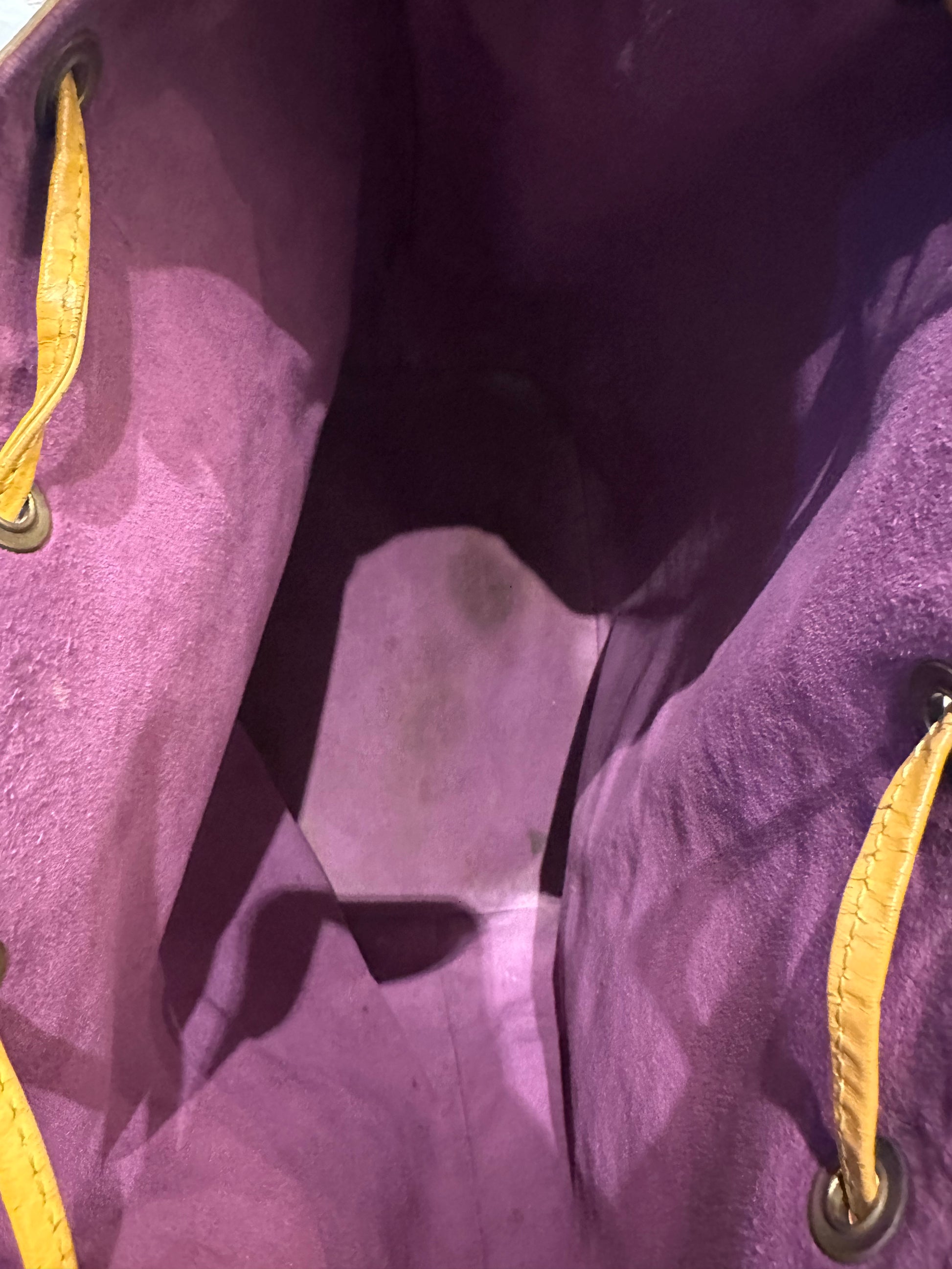 Louis Vuitton Grand Noe Epi