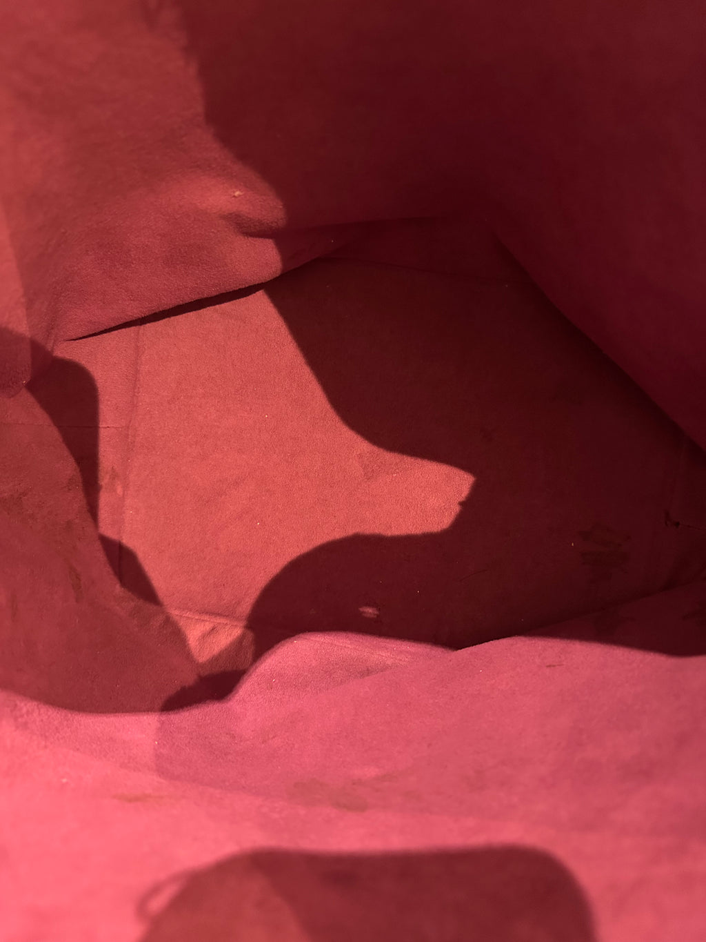 Louis Vuitton Petit Noe Epi