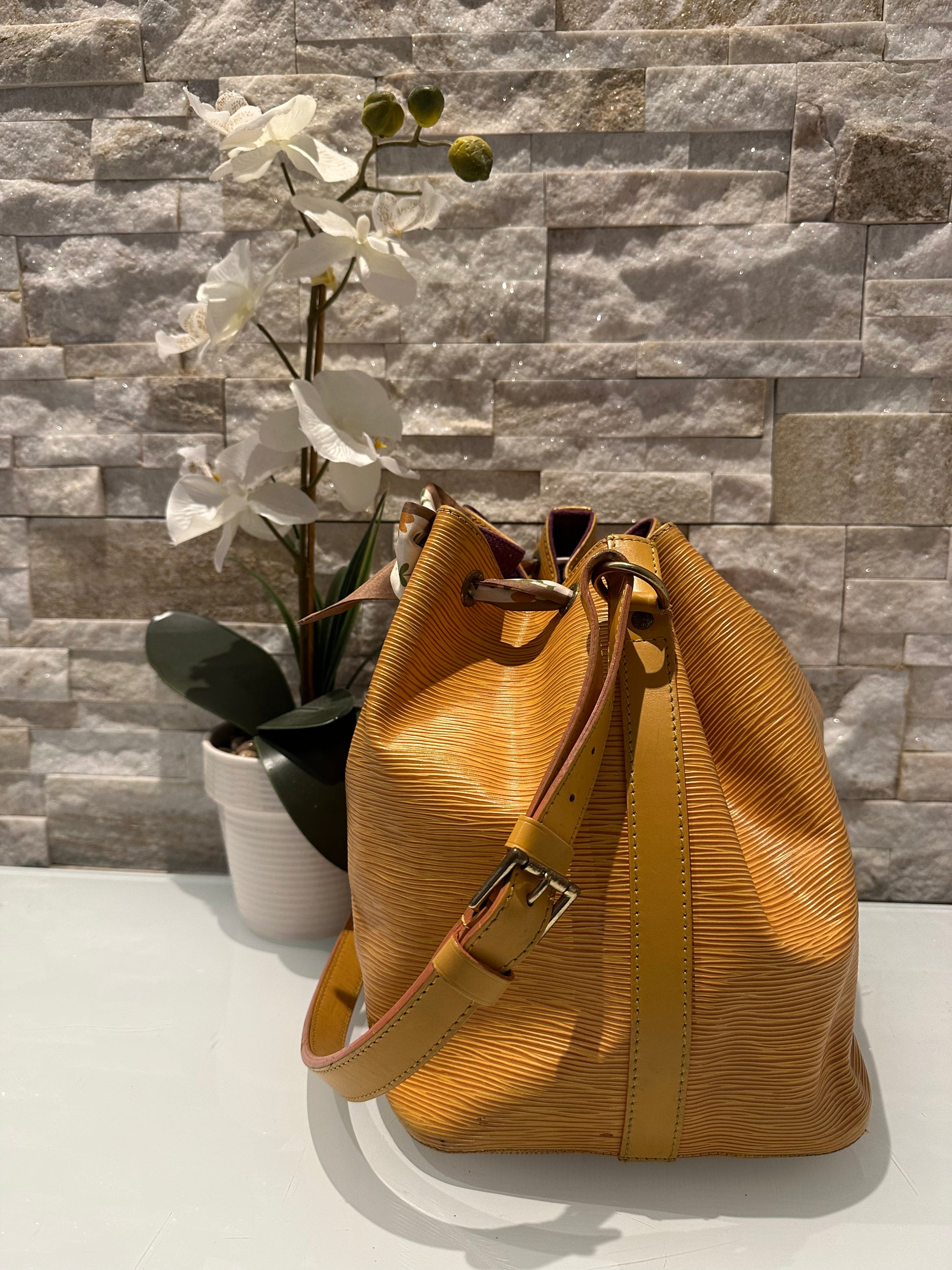 Louis Vuitton Petit Noe Epi