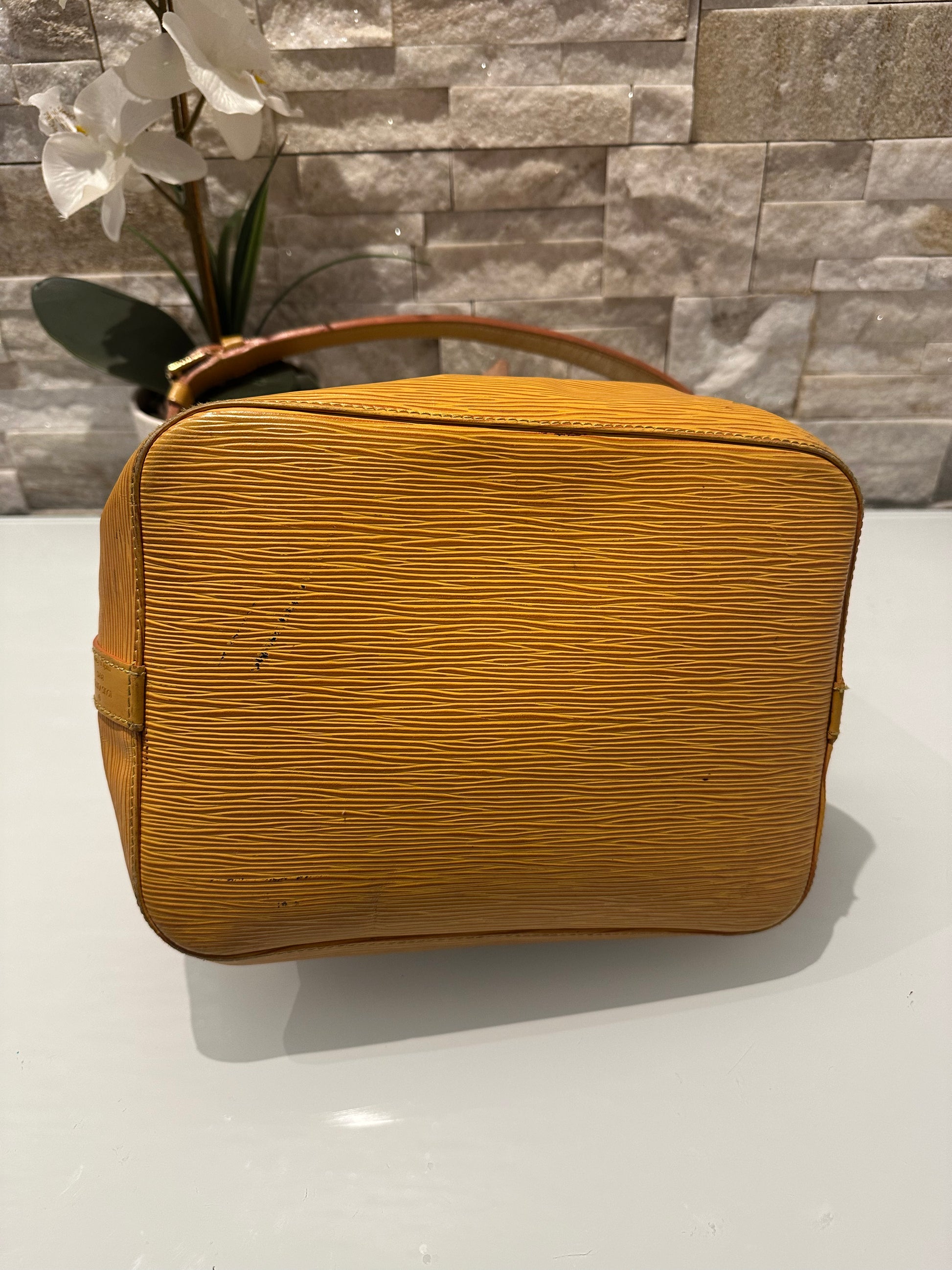 Louis Vuitton Petit Noe Epi