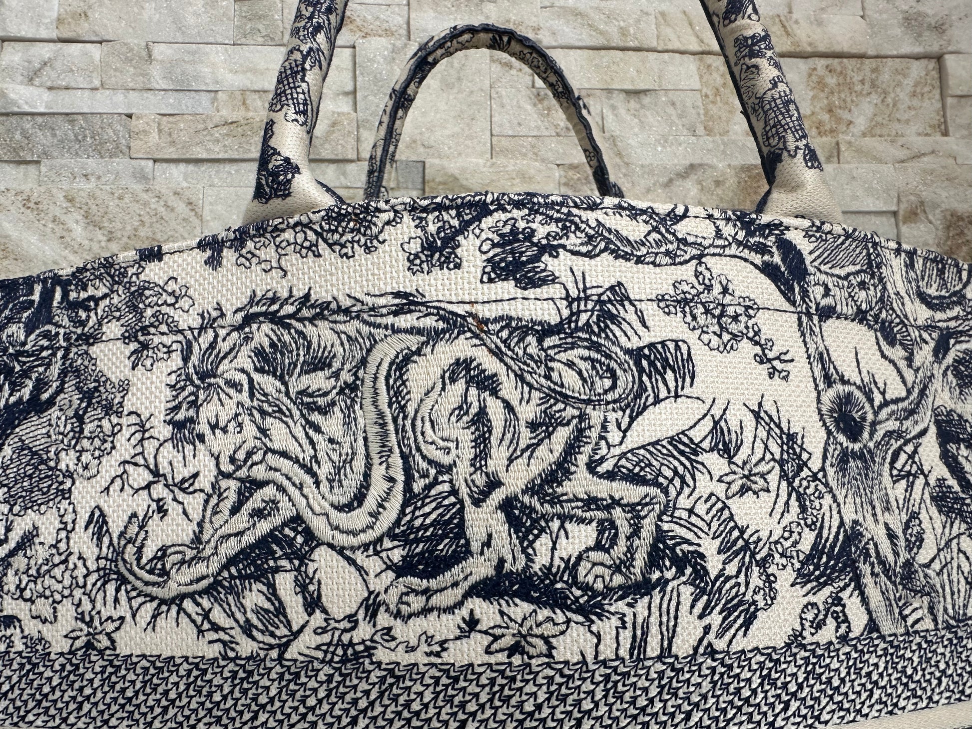 Christian Dior Book Tote Bag Large