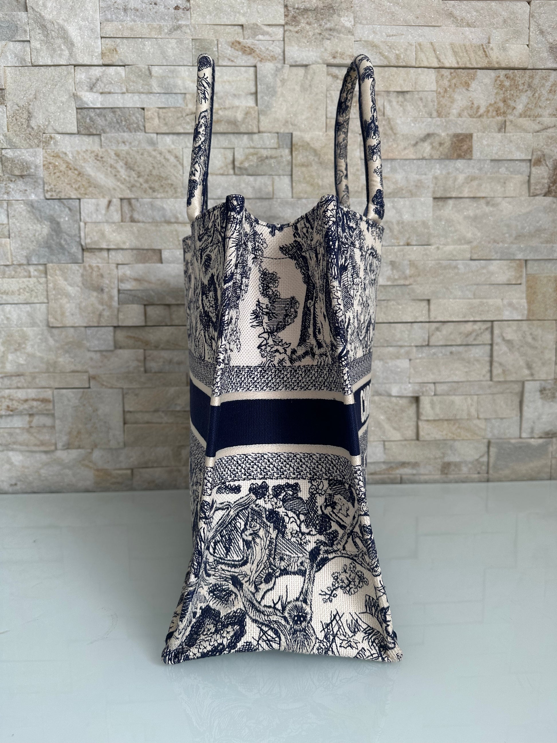 Christian Dior Book Tote Bag Large