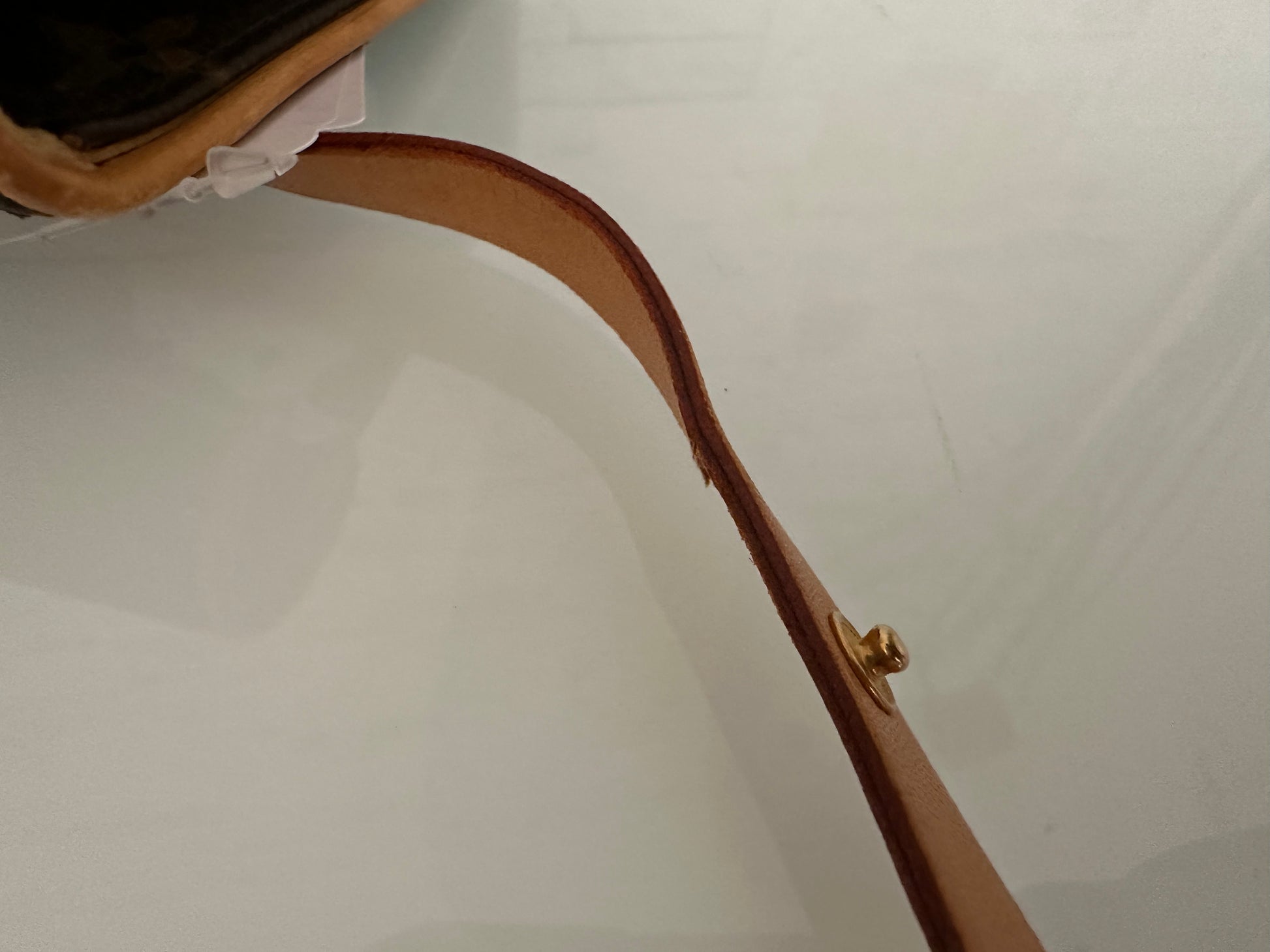 Vuitton Florentine Canvas Bauchtasche