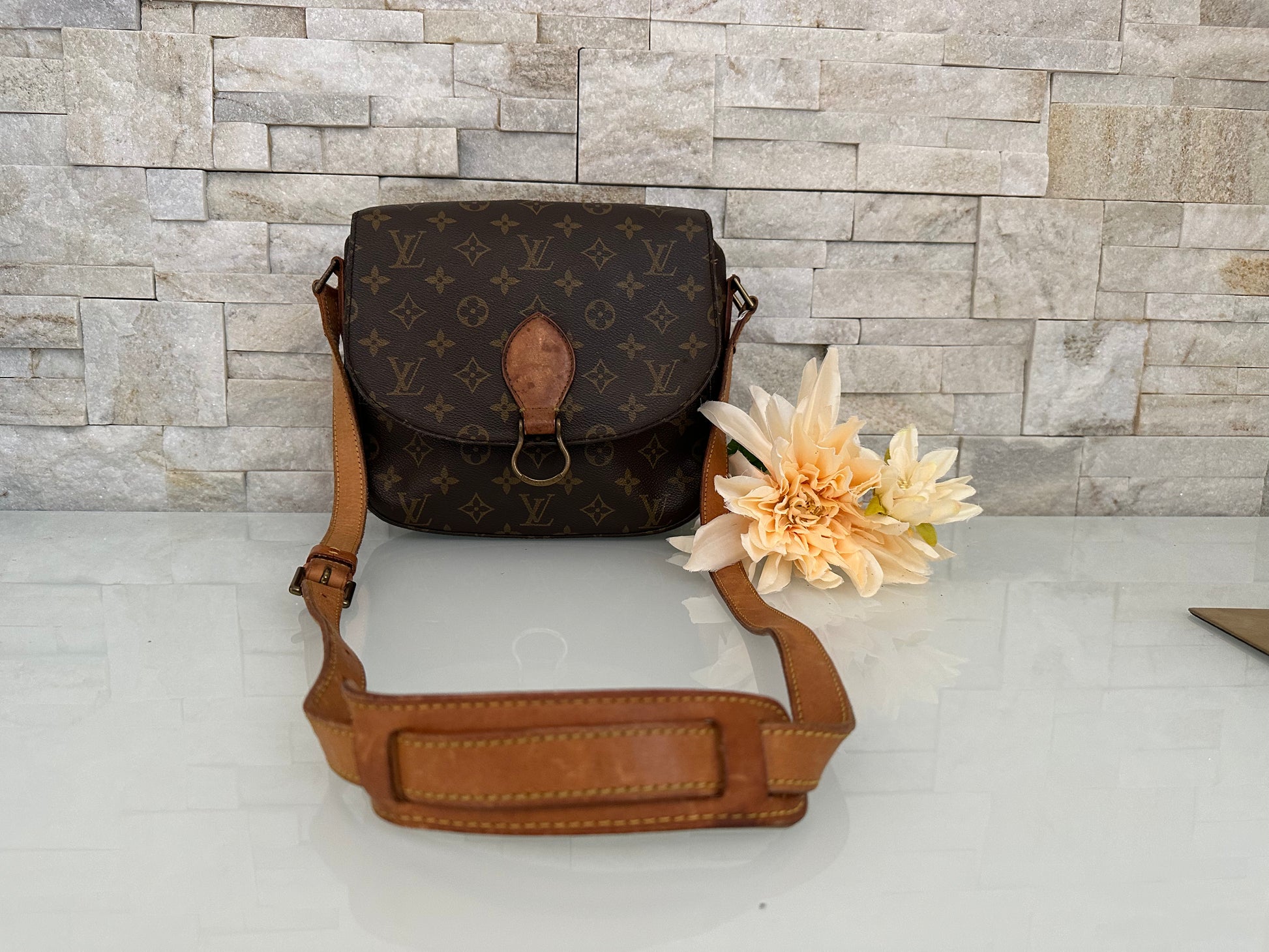 Vuitton Saint Cloud Canvas Tasche
