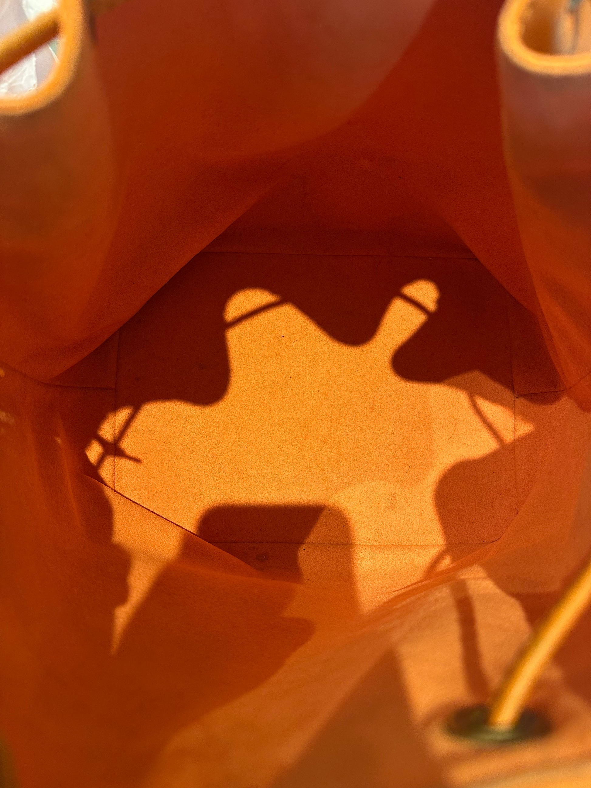 Louis Vuitton Petit Noe Epi