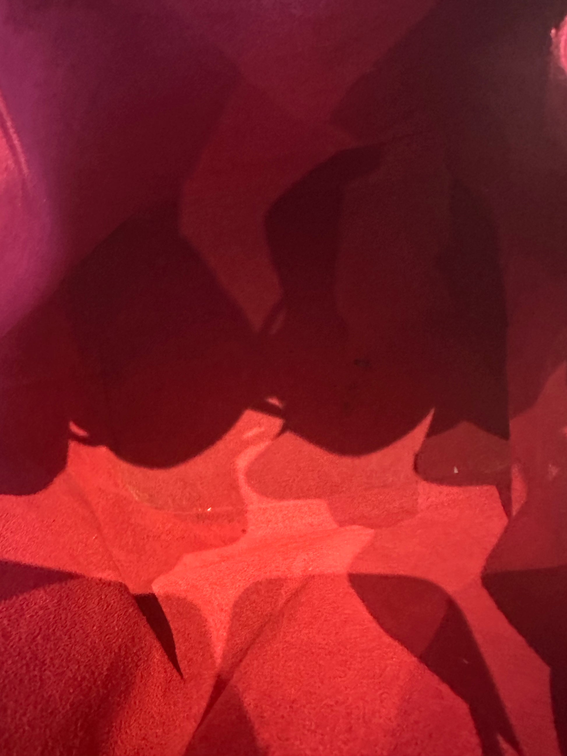 Louis Vuitton Petit Noe Epi