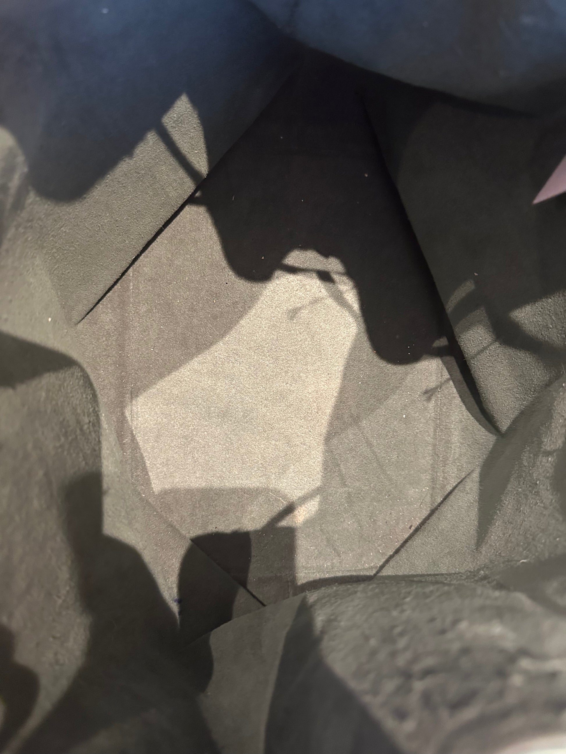 Louis Vuitton Petit Noe Epi