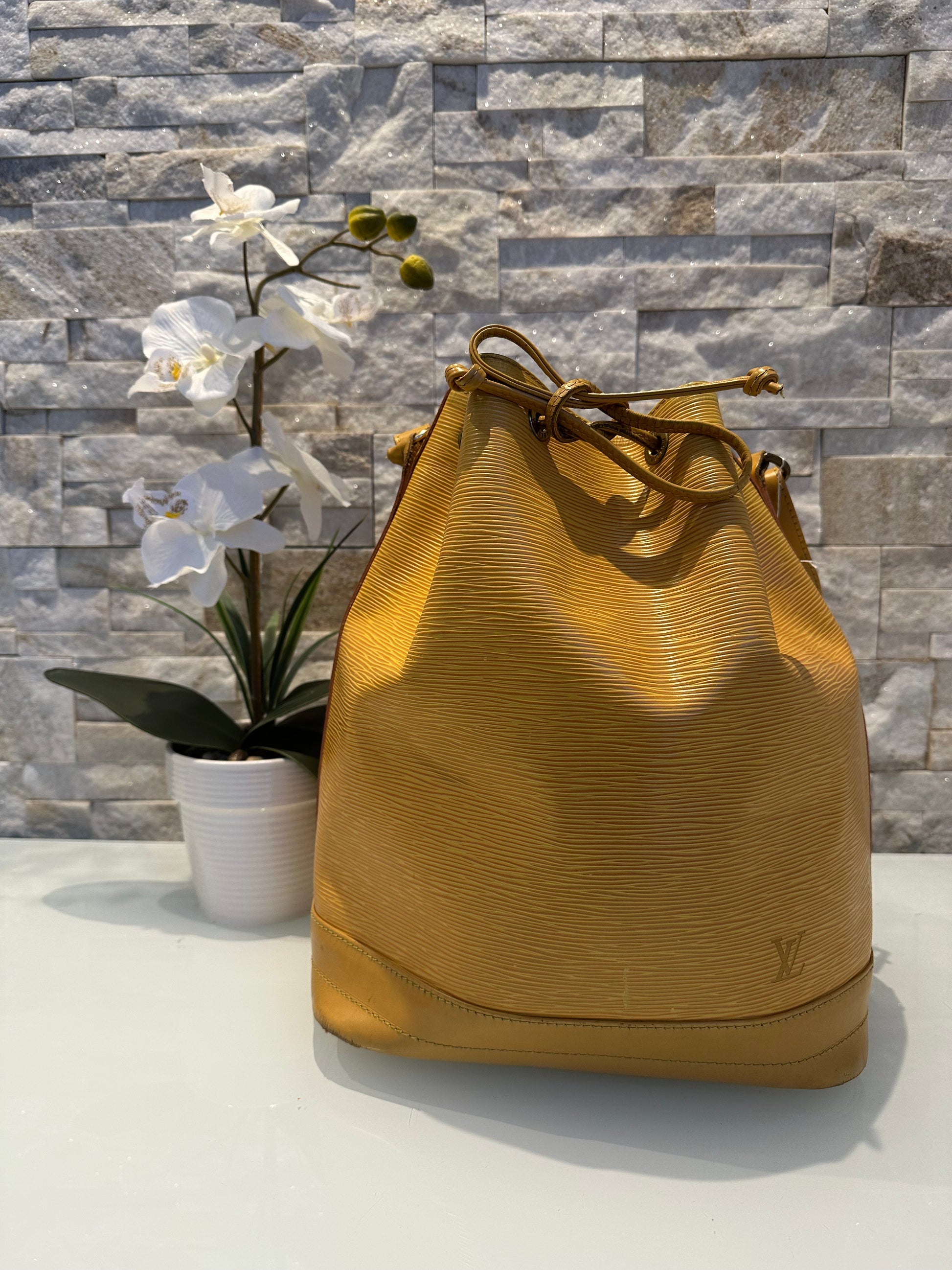 Louis Vuitton Grand Noe Epi